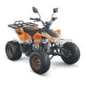 Mit der EWG, ATV Quad, 4 x 4,